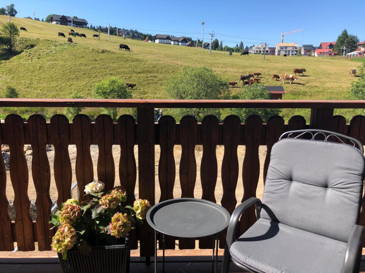 Strunzova Pila - Apartmany S Wellness 2,06 A 3,03 Kvilda Exterior foto
